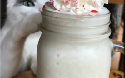 WHITE CHOCOLATE PEPPERMINT PROTEIN SHAKE