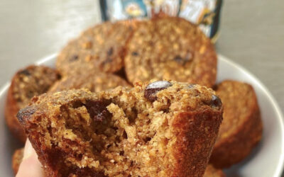 PROTEIN OAT CHOCOLATE CHIP MUFFINS