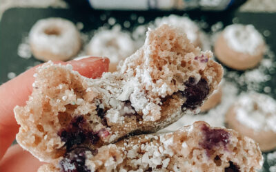 BLUEBERRY POWDERED DONUTS