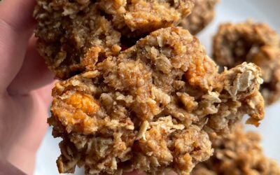 PROTEIN BUTTERSCOTCH OATMEAL CHIP COOKIE MUFFINS